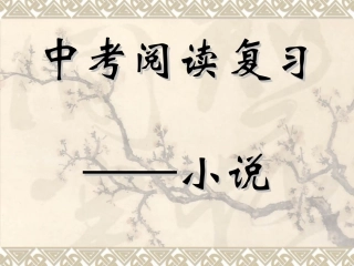 中考复习专题十二：小说阅读2