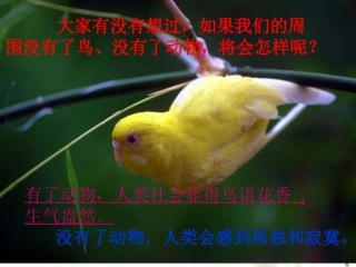 八上30动物在生物圈中的作用