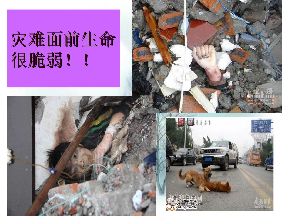 拿来主义课件人教版必修_第3页