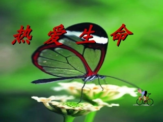 拿来主义课件人教版必修