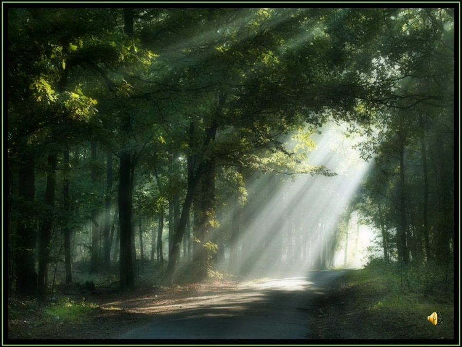 《“红领巾”真好教学课件》[1]_第2页