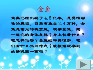 教科版三年级上册科学金鱼课件