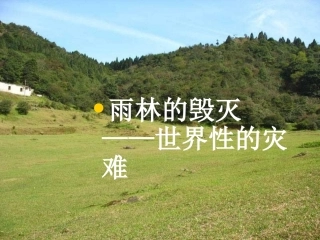 雨林的毁灭——世界性的灾难1