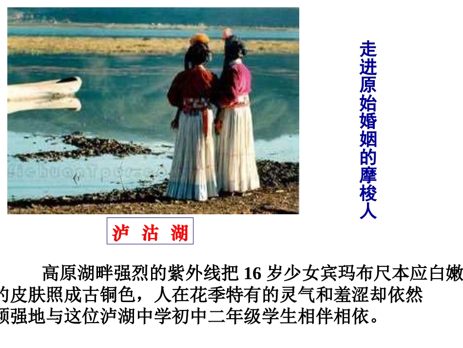 《藏戏》第七课_第3页
