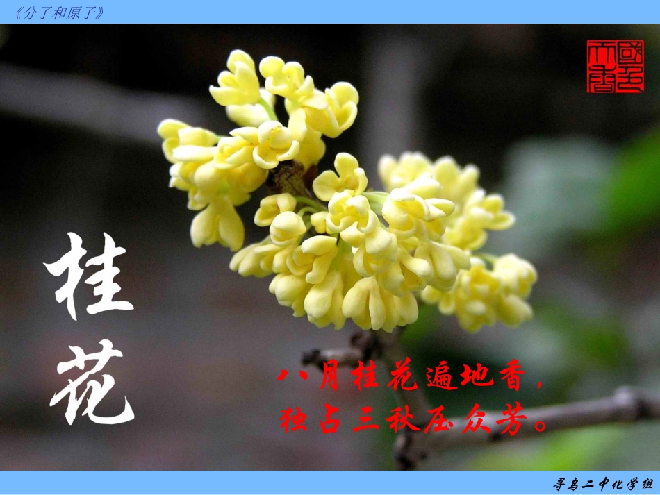 分子和原子 (2)_第2页