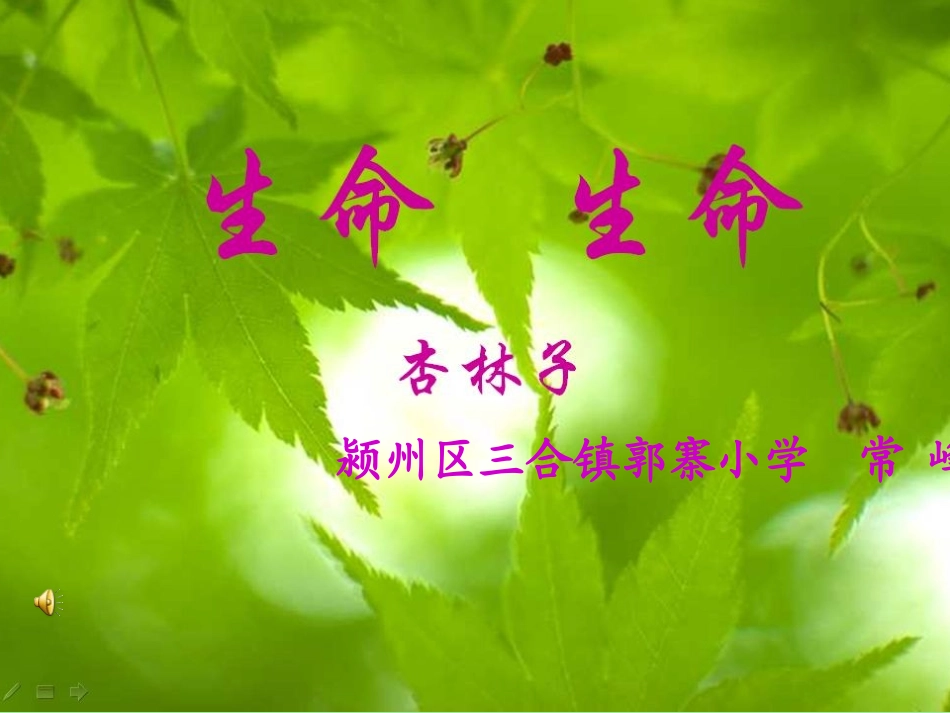 生命,生命课件_第1页