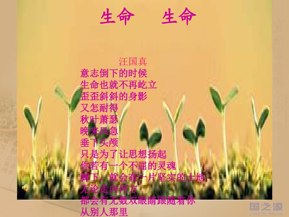 生命,生命课件_第2页