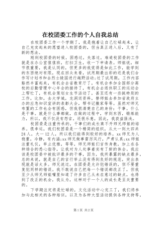 在校团委工作的个人自我总结