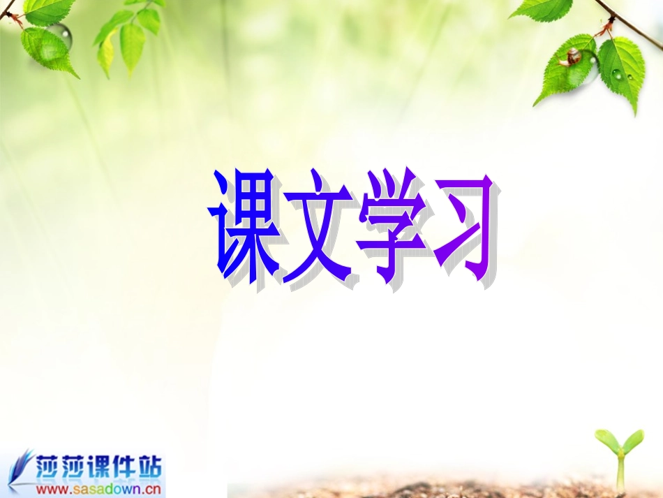 《汤姆·索亚历险记》课件_第2页