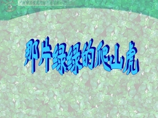 那片绿绿的爬山虎 (2)