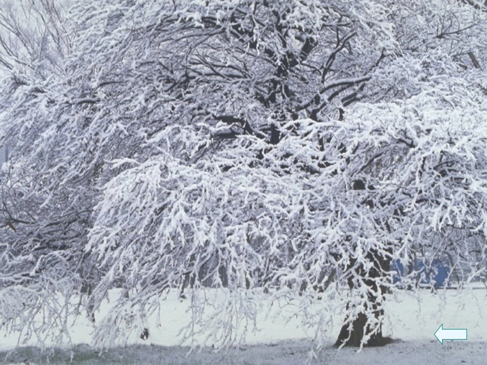 湖心亭看雪(2)_第2页