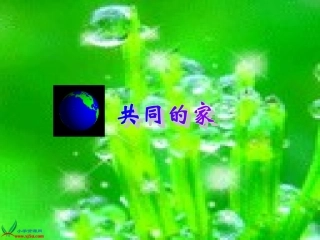 共同的家终极