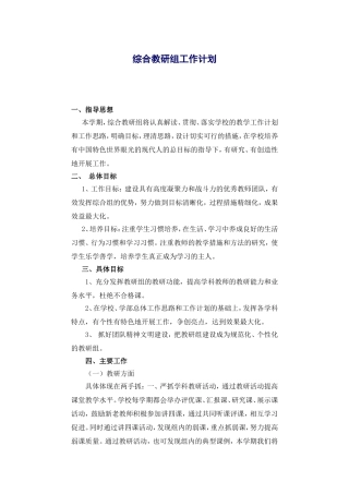 综合教研组工作计划