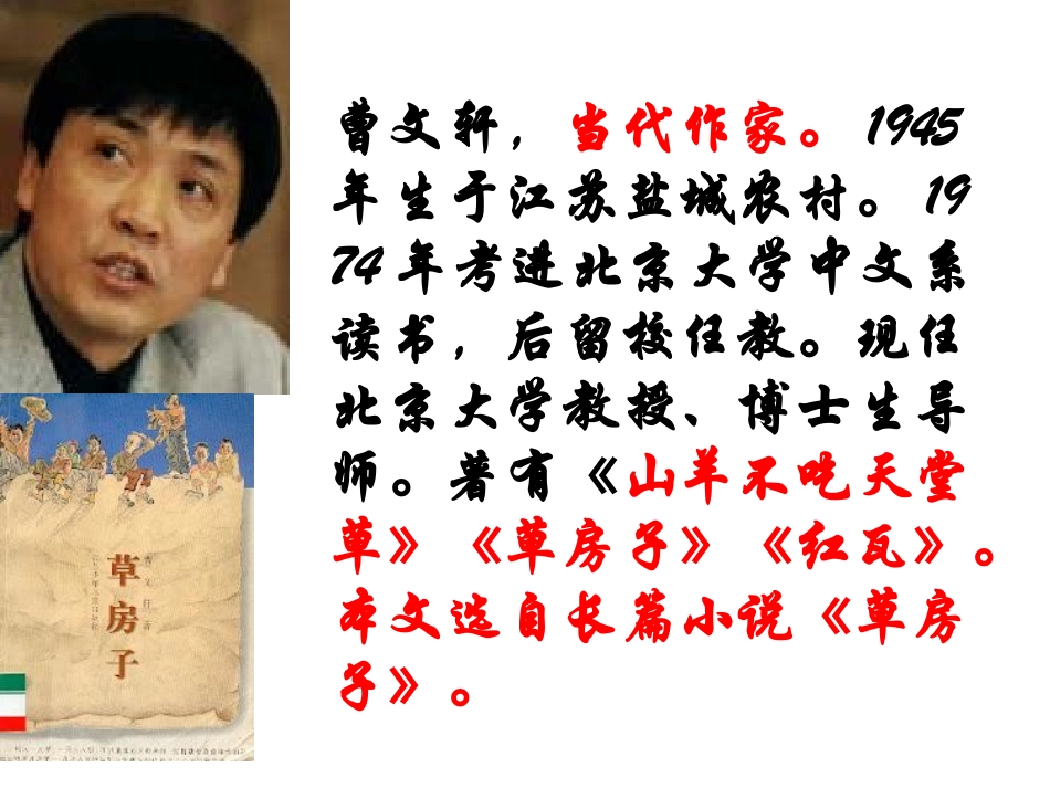 《孤独之旅》课件 (2)_第2页