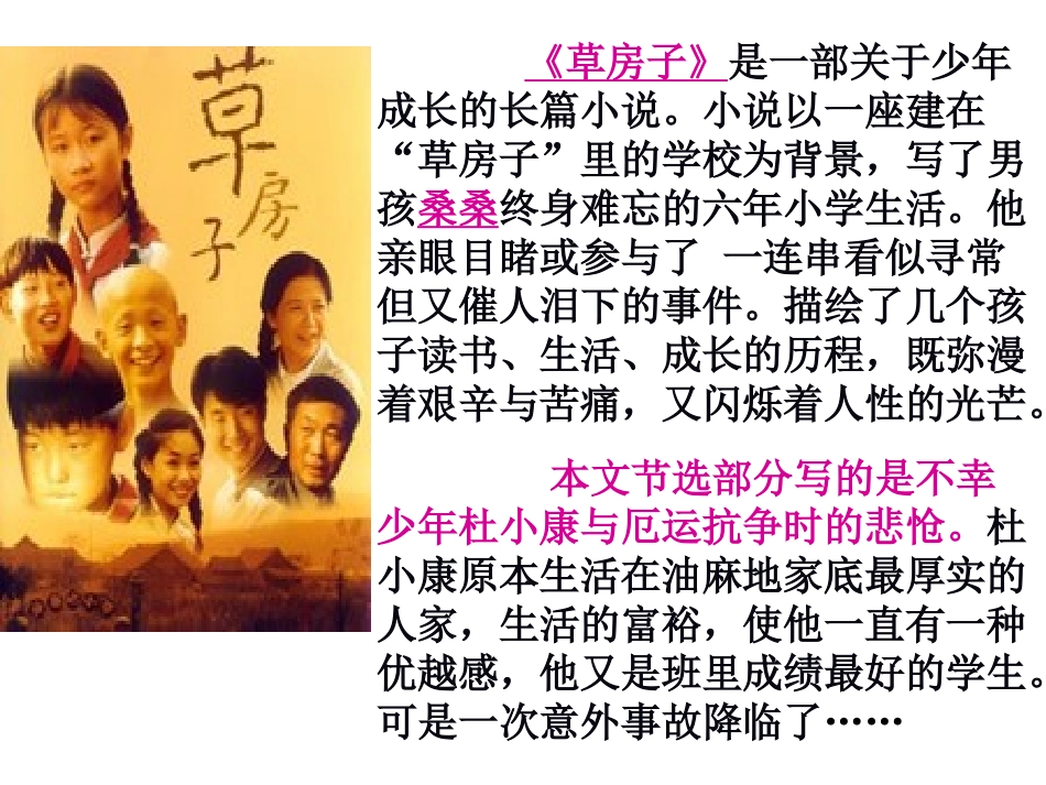 《孤独之旅》课件 (2)_第3页