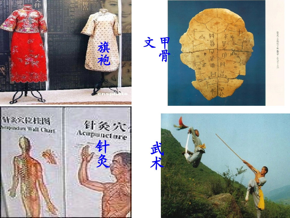 灿烂的中华文化 (2)_第1页