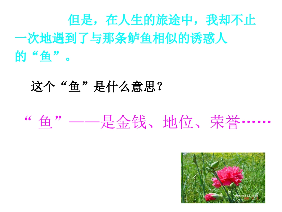 《钓鱼的启示》课件8_第2页