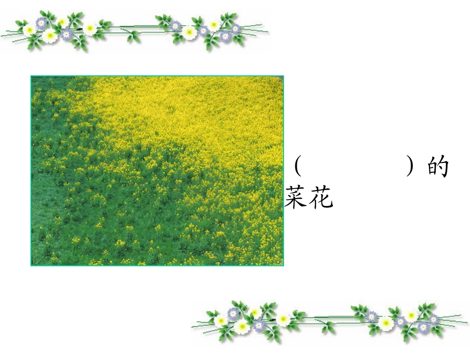 二年级语文上册第一组3植物妈妈有办法课件_第2页