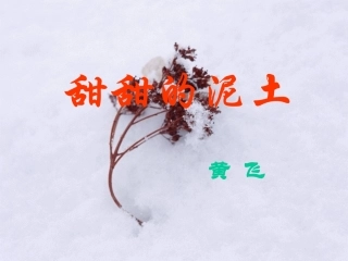 八年级(上)《甜甜的泥土》课件