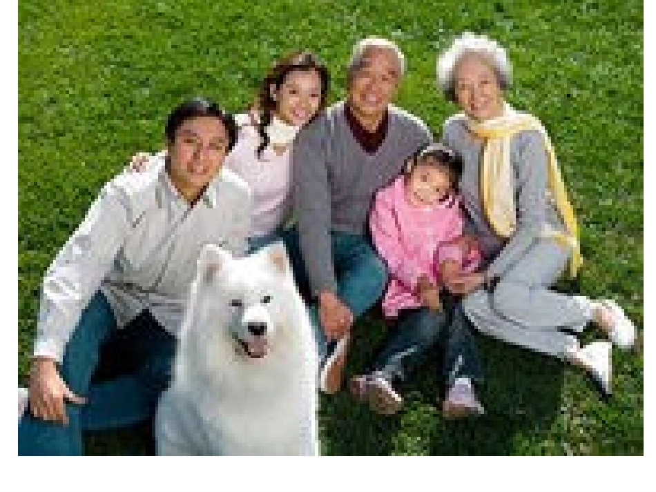 新版pep三年级英语下册Unit2第1课时_第3页