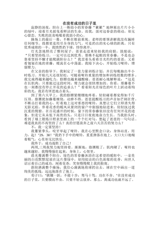在没有成功的日子里 (2)