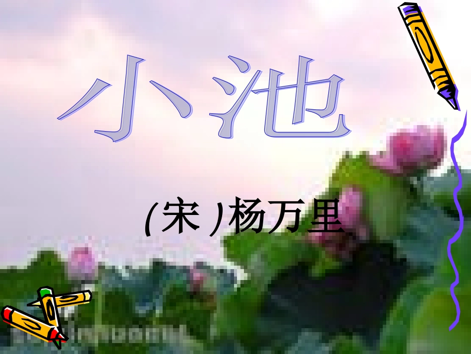 《小池》教学设计_第1页