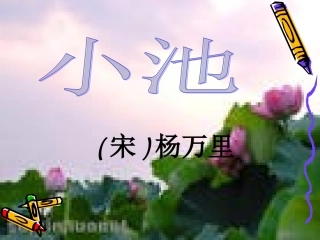 《小池》教学设计