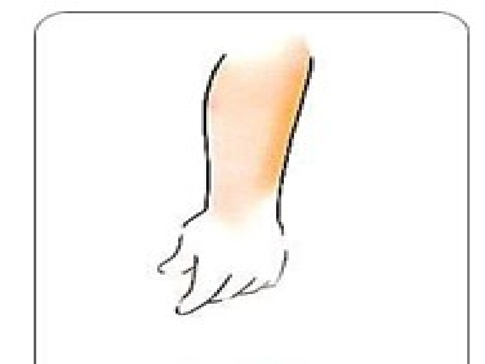 图片题-身体部位_第2页