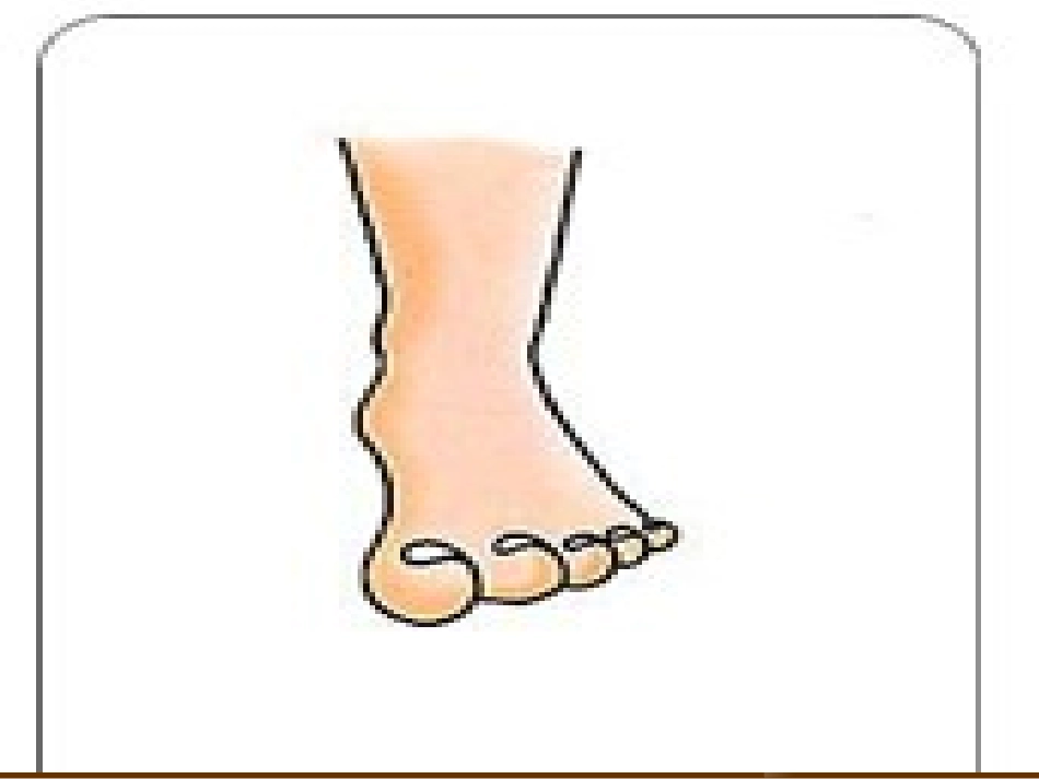 图片题-身体部位_第3页