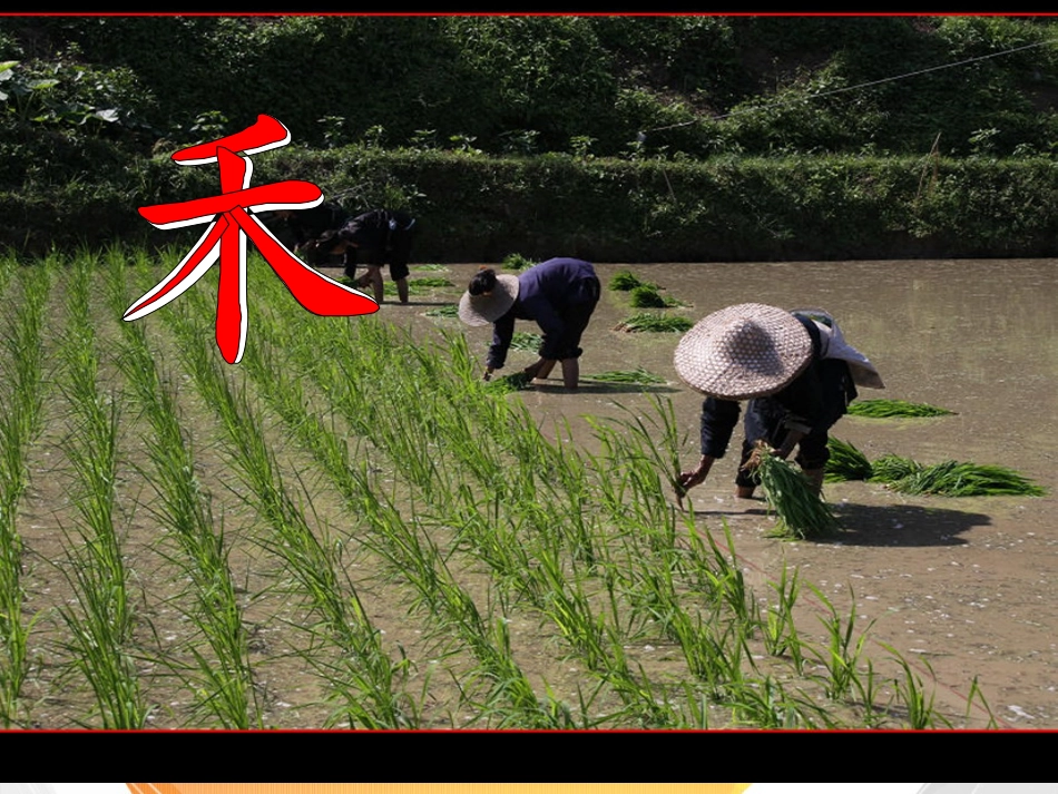 北师大版语文第一册锄禾课件_第2页