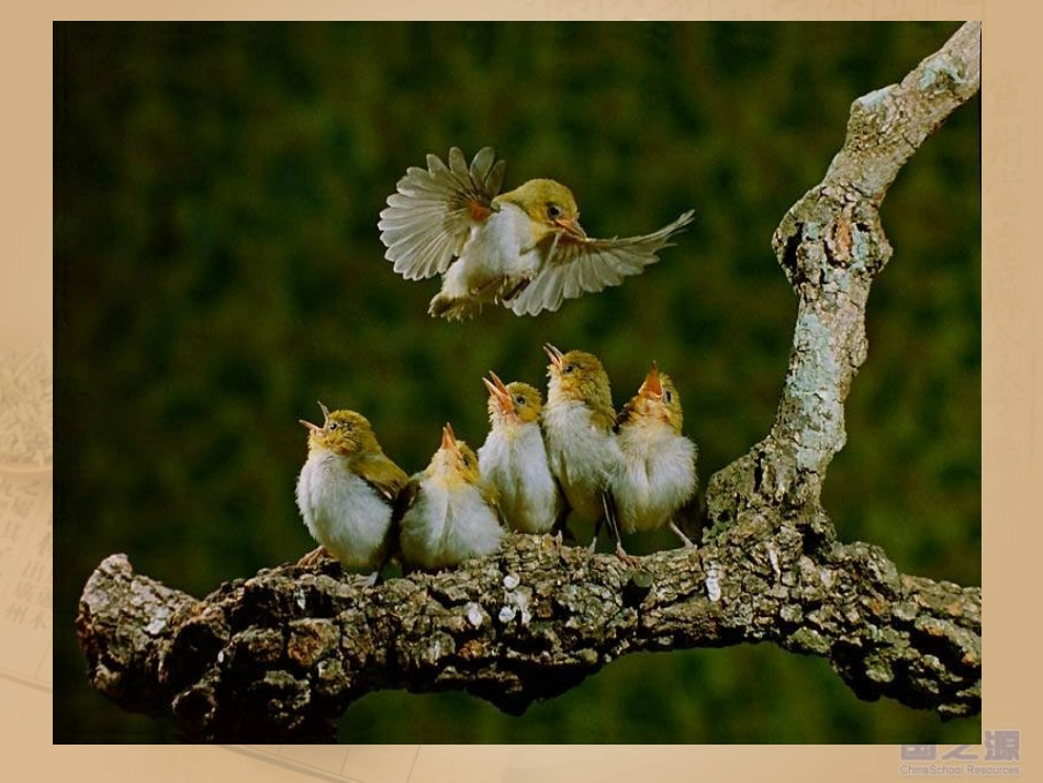 甜甜的泥土资源_第2页