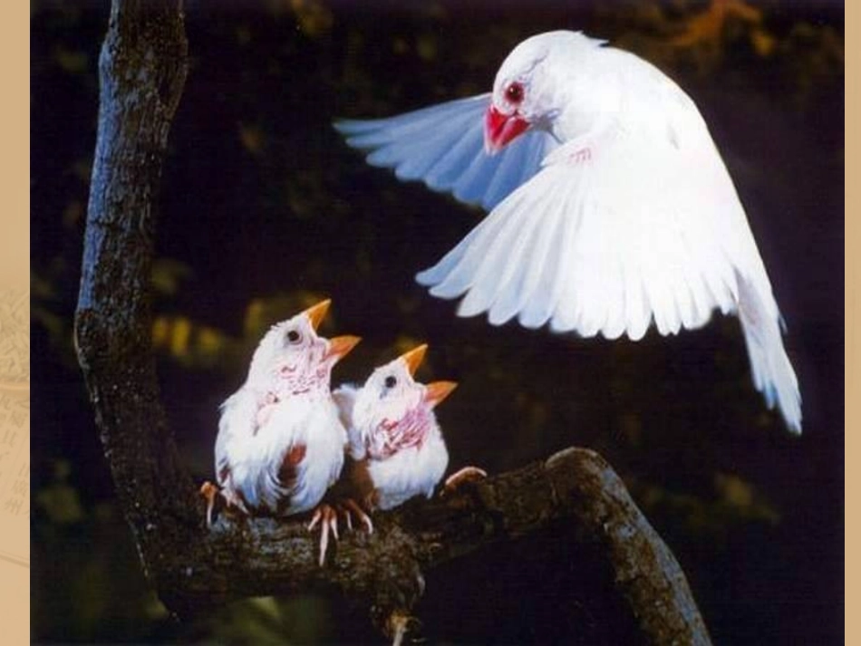 甜甜的泥土资源_第3页