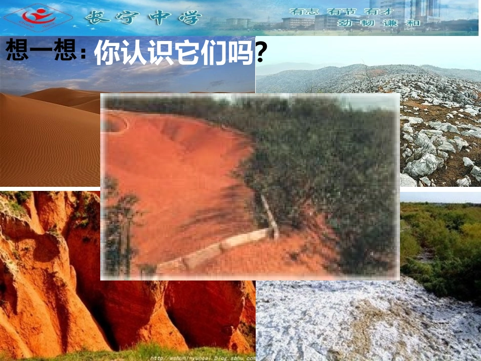 荒漠化及其防治_第1页