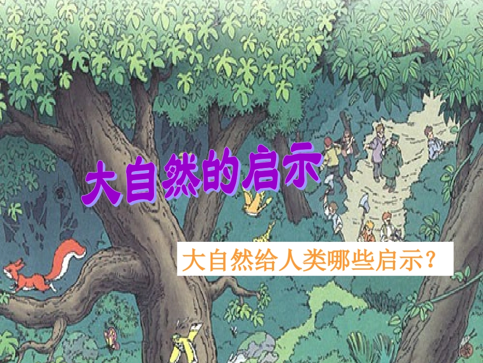 大自然的启示优化版课件_第1页