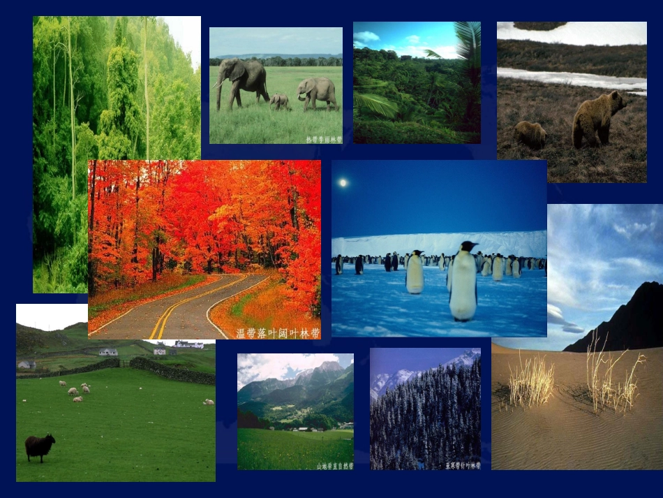 地理：人教版七上第三章第四节世界的气候（共34张PPT）_第3页