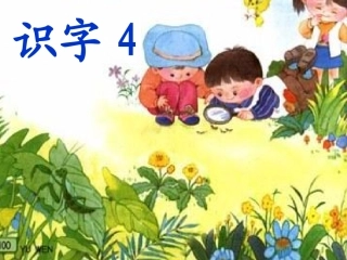苏教版一年级上册--识字4