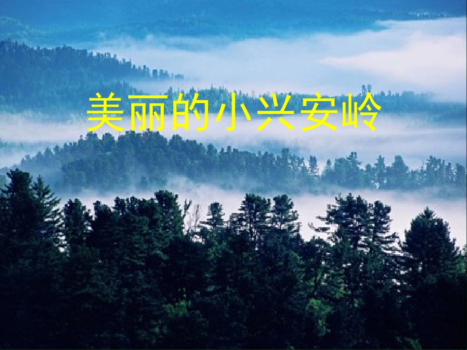 《美丽的小兴安岭》课件_第1页