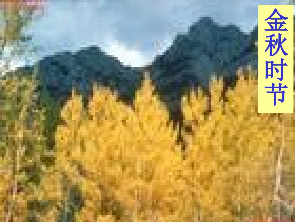 识字一第二课时_第2页