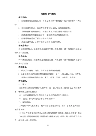 《蘑菇》参考教案