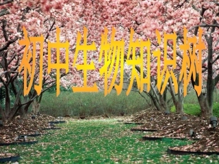 人教版初中生物知识树+++167PPT