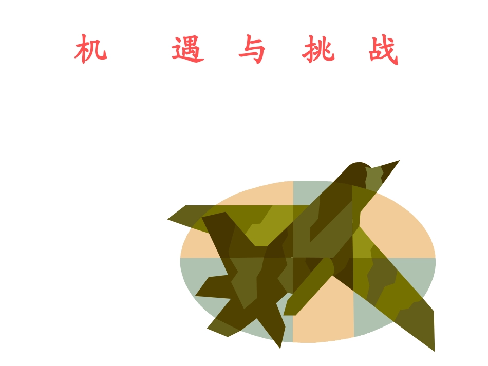 九年级政治机遇与挑战_第1页