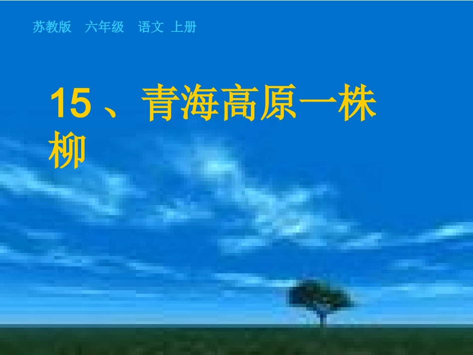 青海高原一株柳 (3)_第2页