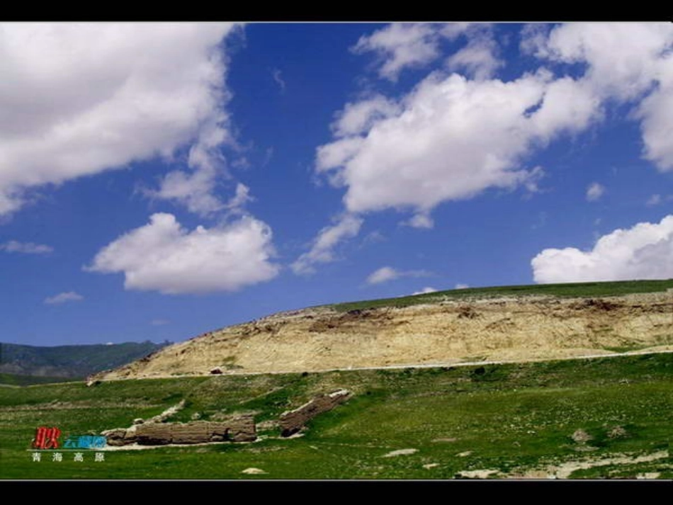 青海高原一株柳 (3)_第3页