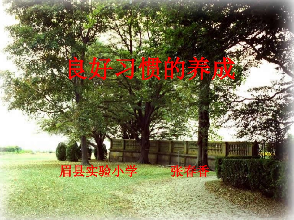 小学生良好习惯的养成课件1上课用_第1页