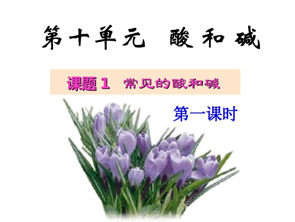 九年级化学下册第十单元课题1常见的酸和碱_第2页