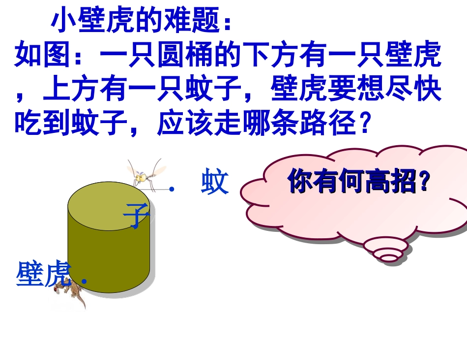 初一数学平面与立体立体图形的展开图_第2页