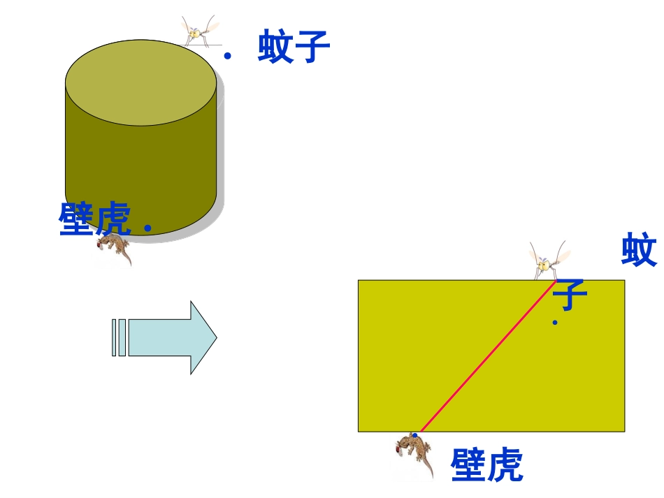 初一数学平面与立体立体图形的展开图_第3页