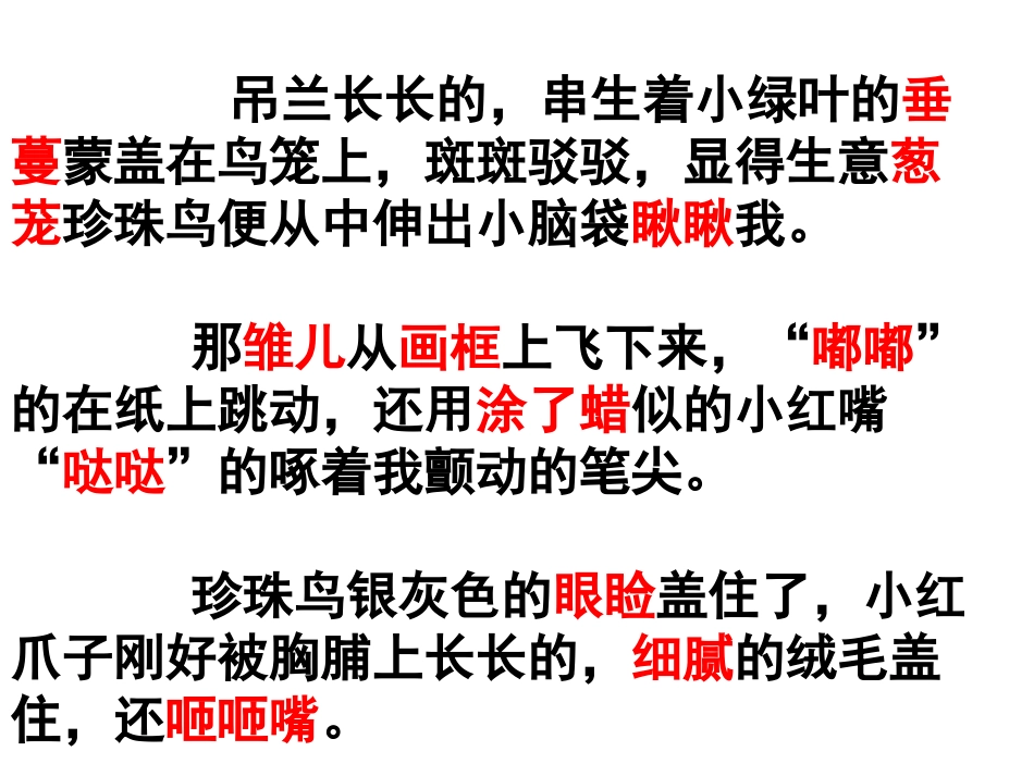 珍珠鸟课件 (2)_第2页