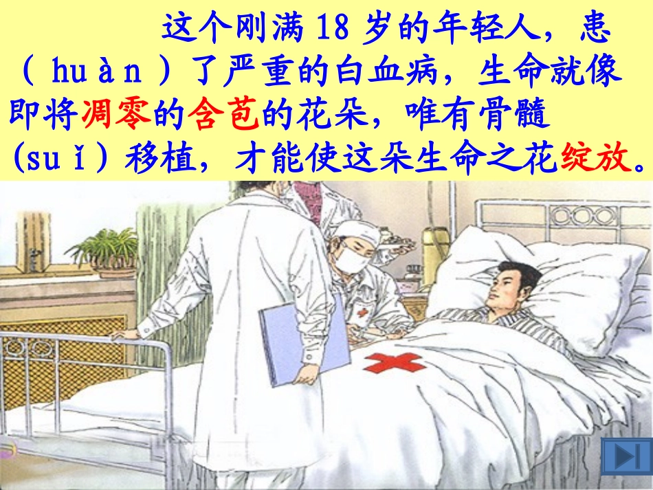 跨越海峡的生命桥2_第3页