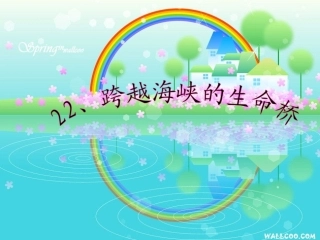 跨越海峡的生命桥2
